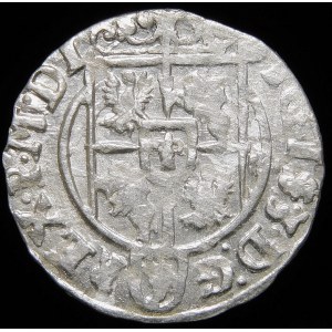 Zygmunt III Waza, Półtorak 1625, Bydgoszcz - Sas w tarczy owalnej