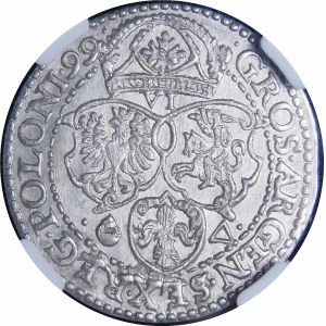 Zikmund III Vasa, šestipence 1599, Malbork - velká hlava - vzácná a nádherná