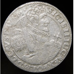 Zygmunt III Waza, Ort 1622, Bydgoszcz - PRVS M - zakończenie szarfy, labry