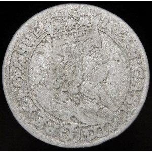 Ján II Kazimír, šiesty z roku 1667 TLB, Bydgoszcz - kvetina