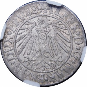 Ducal Prussia, Albrecht Hohenzollern, Penny 1541, Königsberg