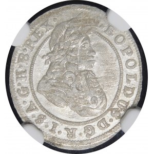 Śląsk - Śląsk pod panowaniem habsburskim, Leopold I, 1 krajcar 1700 FN, Opole