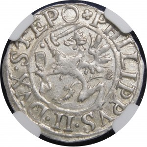 Pomořansko - Štětínské vévodství, Filip II, Penny 1615, Štětín - krásný