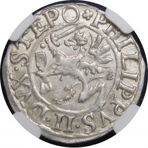 Pomoransko - Štetínske vojvodstvo, Filip II, Penny 1615, Štetín - krásny