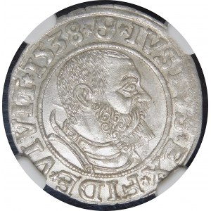 Kniežacie Prusko, Albrecht Hohenzollern, Grosz 1538, Königsberg - krásny