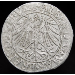 Ducal Prussia, Albrecht Hohenzollern, Grosz 1543, Königsberg