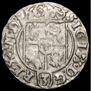 Sigismund III Vasa, Half-track 1624, Bydgoszcz - Saxon in oval shield - stars