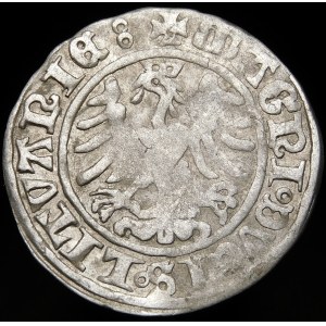 Žigmund I. Starý, polgroš 1509, Vilnius - erb bez pošvy - veľmi vzácny