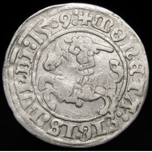 Zygmunt I Stary, Półgrosz 1509, Wilno - Pogoń bez pochwy - dwukropki