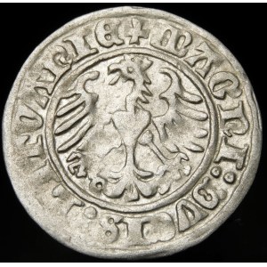 Sigismund I. der Alte, Halber Pfennig 1513, Vilnius