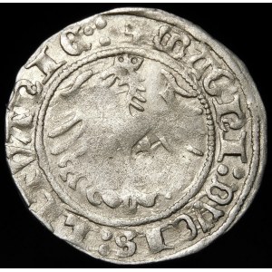 Žigmund I. Starý, polgroš 1513, Vilnius - Úplný dátum - vzácne