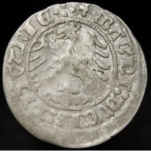 Sigismund I the Old, Half-penny 1515, Vilnius - quadrille
