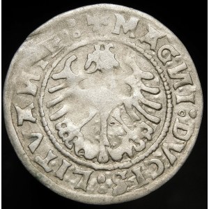 Sigismund I the Old, Half-penny 1519, Vilnius - 5 feathers - threepenny - rare