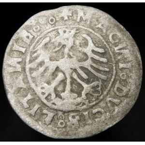 Sigismund I the Old, Half-penny 1520, Vilnius - error SIGISMVANDI, LITANIE - pentacle - rare