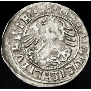 Sigismund I the Old, Half-penny 1520, Vilnius - pentacle - rare