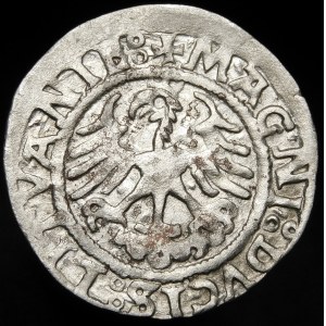 Sigismund I the Old, Half-penny 1521, Vilnius - SIGISMVNIDI error - rare