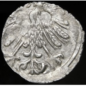 Sigismund II Augustus, Denarius 1558, Vilnius