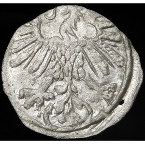 Sigismund II Augustus, Denarius 1559, Vilnius