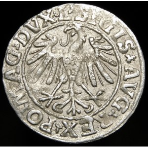 Zygmunt II August, Półgrosz 1547, Wilno - L/LITVA - rzadki