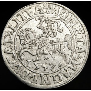 Žigmund II August, polgroš 1547, Vilnius - LI/LITVA