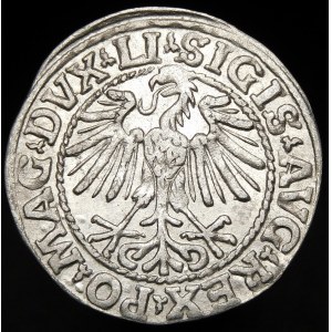Zygmunt II August, Półgrosz 1548, Wilno - rzymska I, LI/LITVA - piękny