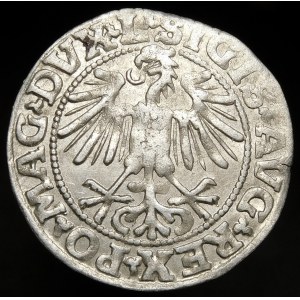 Sigismund II Augustus, Half-penny 1549, Vilnius - 9 Pogon, L/LITVA - rare