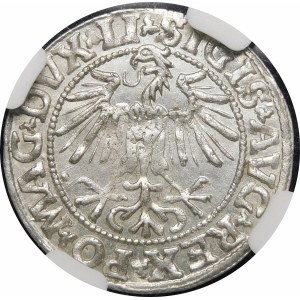 Sigismund II Augustus, Halbgrosse 1549, Vilnius - 9 Pogoń, LI/LITVA - schön