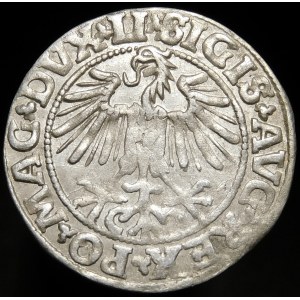 Sigismund II Augustus, Half-grosz 1549, Vilnius - 9 Pogon, LI/LITVA