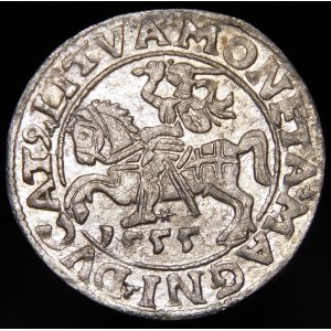 Sigismund II Augustus, Half-penny 1555, Vilnius - L/LITVA - rare