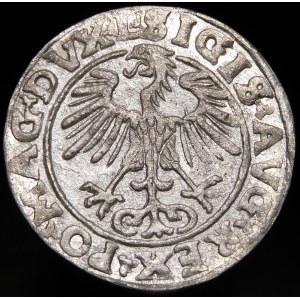 Sigismund II Augustus, Half-penny 1555, Vilnius - L/LITVA - rare