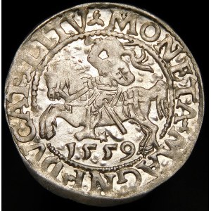 Sigismund II Augustus, Half-penny 1559, Vilnius - LI/LITV - rare