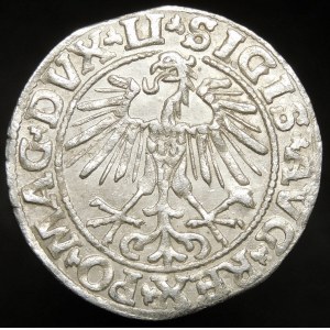 Sigismund II Augustus, Half-penny 1550, Vilnius - LI/LITVA - beautiful