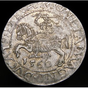 Žigmund II August, polgroš 1560, Vilnius - DVX L/LITVA - vzácne