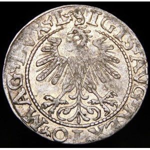 Zygmunt II August, Półgrosz 1560, Wilno - DVX L/LITVA - rzadki