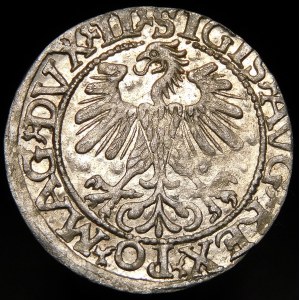 Zygmunt II August, Półgrosz 1560, Wilno - DVX LI/LITV