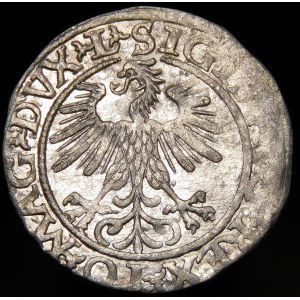 Sigismund II Augustus, Half-penny 1560, Vilnius - DVX L/LITV