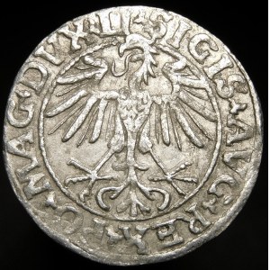 Sigismund II Augustus, Half-penny 1550, Vilnius - LI/LITVA