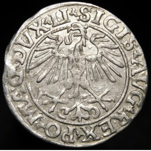 Sigismund II Augustus, Half-penny 1551, Vilnius - LI/LITVA