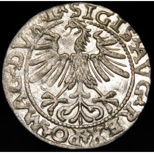Žigmund II August, Polovičný groš 1563, Vilnius - 19 Pogoń, sekera, DVX L/LITV