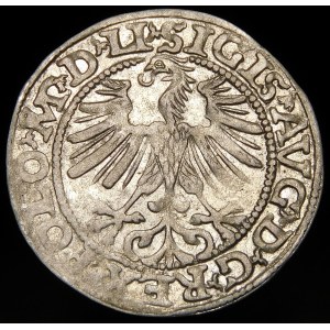 Zygmunt II August, Półgrosz 1563, Wilno - 20 Pogoń, Topór, M D LI/LITVA