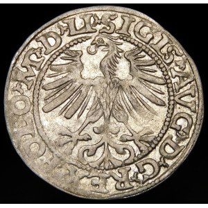 Sigismund II Augustus, Half-grosz 1563, Vilnius - 20 Pogon, Axe, M D LI/LITVA
