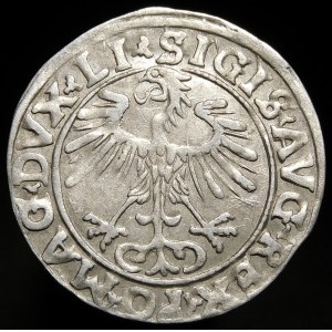 Žigmund II August, polgroš 1556, Vilnius - LI/LITV