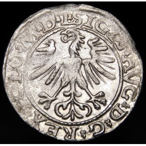 Sigismund II Augustus, Half-penny 1564, Vilnius - 21 Pogon, Axe, L/LITVA