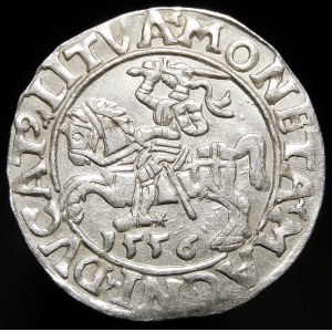 Sigismund II Augustus, Half-penny 1556, Vilnius - LI/LITVA - beautiful