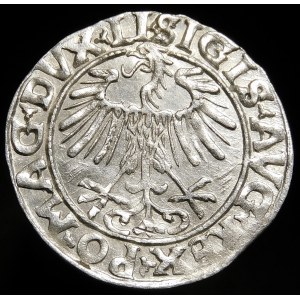 Zygmunt II August, Półgrosz 1556, Wilno - LI/LITVA - piękny