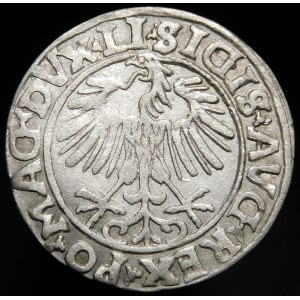 Sigismund II Augustus, Half-penny 1556, Vilnius - LI/LITVA