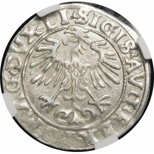 Sigismund II. Augustus, Halbergroschen 1556, Wilna - LI/LITVA