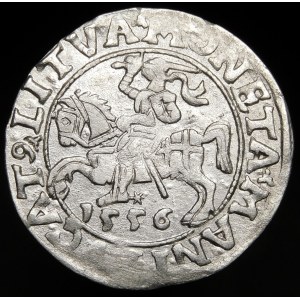 Zygmunt II August, Półgrosz 1556, Wilno - LI/LITVA - błąd MANI - rzadki