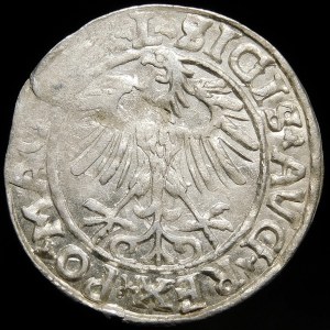 Sigismund II Augustus, Half-penny 1557, Vilnius - L/LITVA