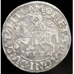 Sigismund II Augustus, Half-penny 1557, Vilnius - LI/LITVA